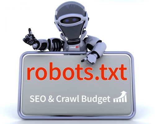 SEO y Crawl Budget con robots.txt