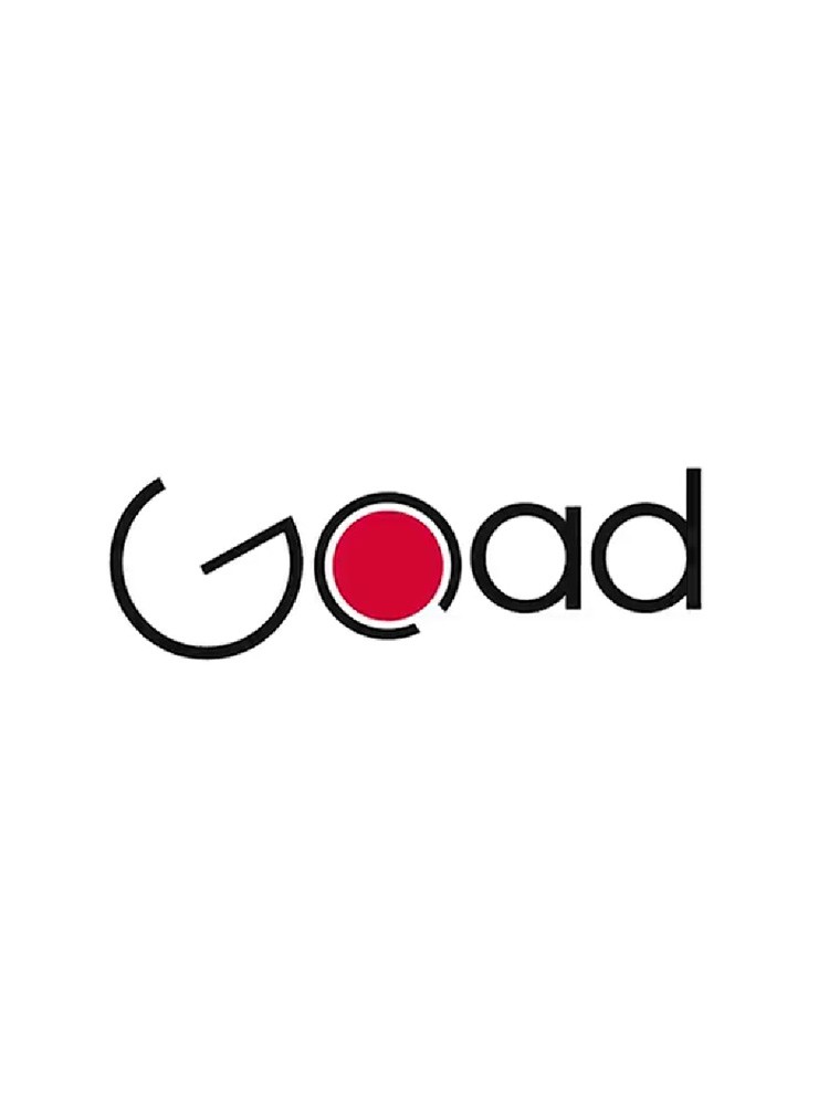 Imagen principal de proyecto de Producción de Vídeo presentación  GoAd Company